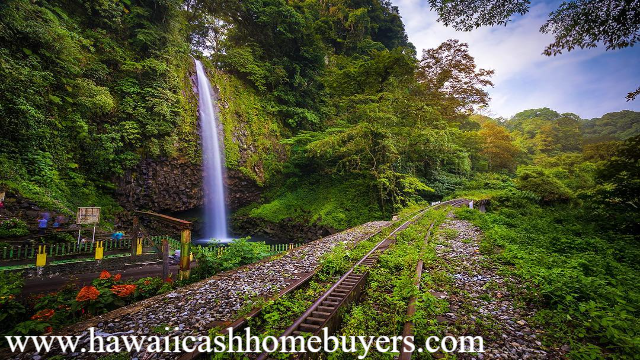 Lembah Anai: Keindahan Alam Tersembunyi di Sumatera Barat