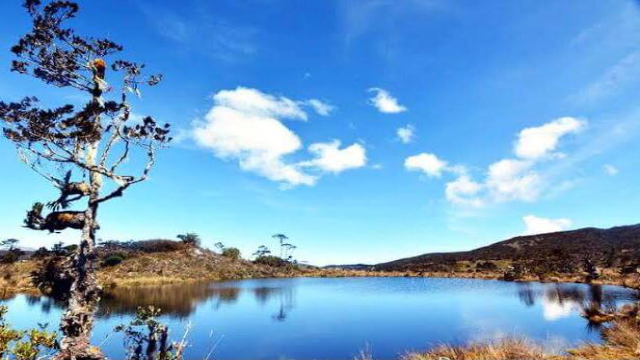 Pesona Alam Danau Habema: Permata Tersembunyi di Pegunungan Papua