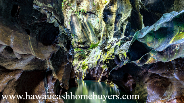 Pesona Tersembunyi Jurang Beji Guwang: Surga Alam di Gianyar Bali