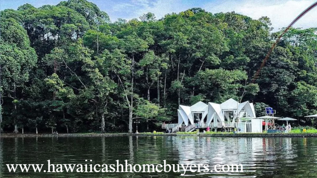 Pesona Alam Situ Gede: Danau Eksotis di Bogor yang Menyimpan Keindahan dan Cerita